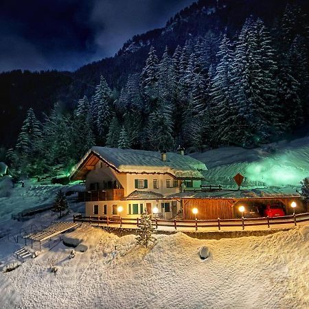 Апартаменты Cesa Vedla - Quite And Cozy Alpine Escape Ортизеи Экстерьер фото