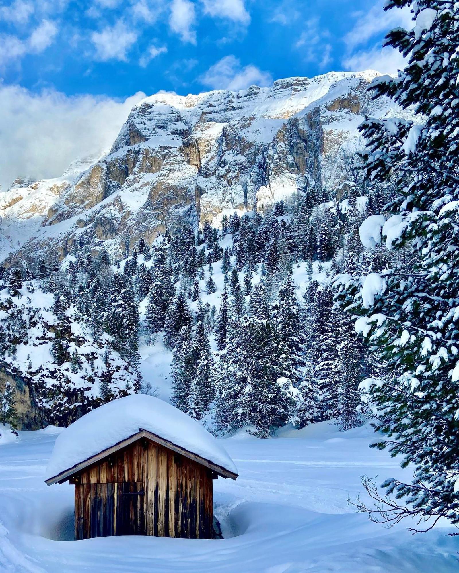 Апартаменты Cesa Vedla - Quite And Cozy Alpine Escape Ортизеи Экстерьер фото