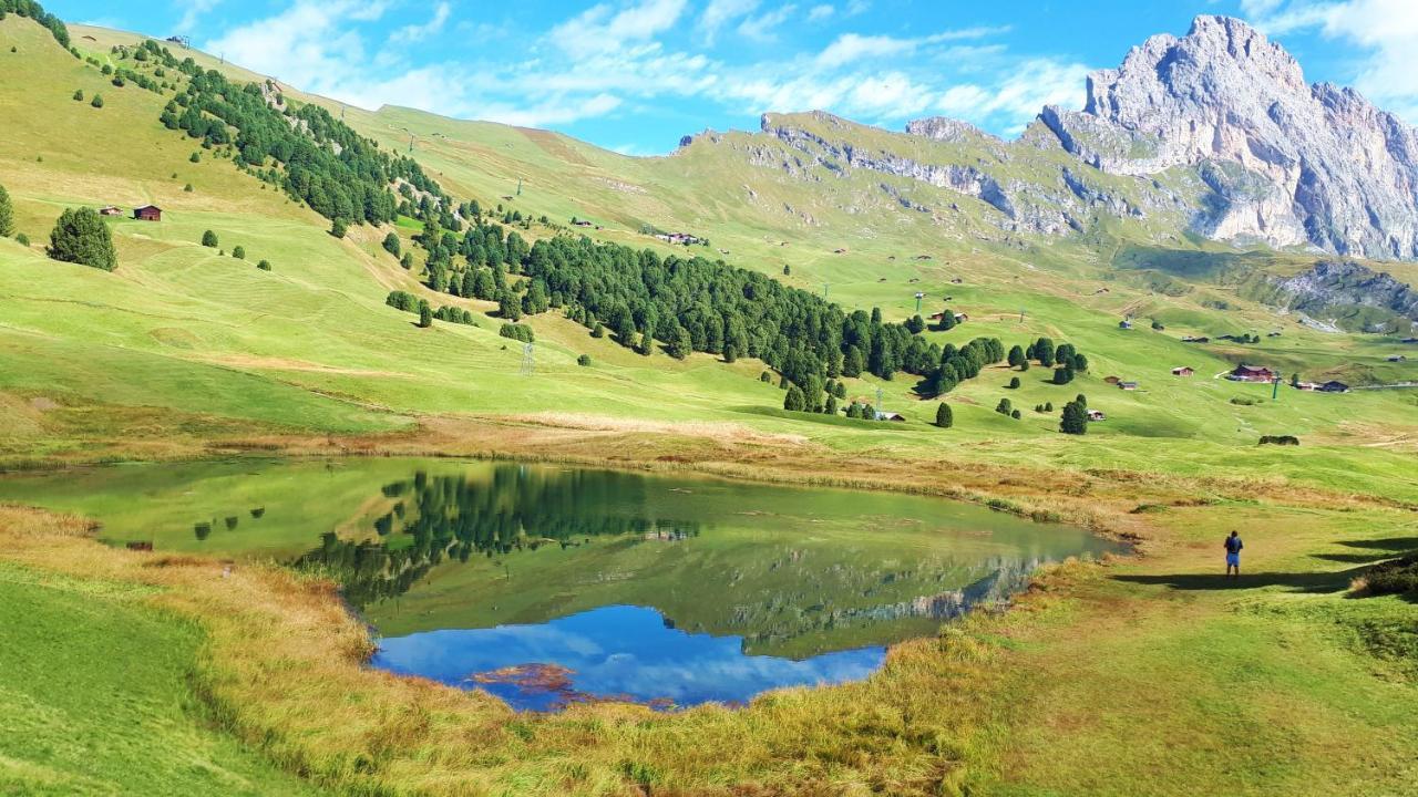 Апартаменты Cesa Vedla - Quite And Cozy Alpine Escape Ортизеи Экстерьер фото